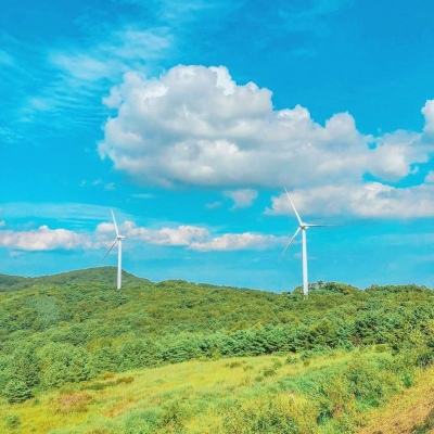 绘符师官方版(暂未上线)v1.0.0 安卓版